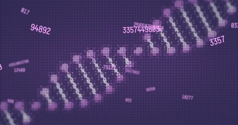 Synthetic DNA Strand with Data Code