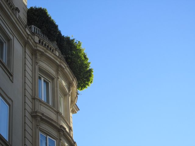 Sunlight shining on the corner of an elegant building with green foliage on the balcony and a clear blue sky. Ideal for use in projects showcasing urban landscapes, architecture, and outdoor settings.