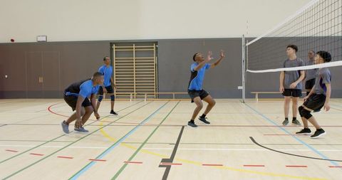 Diverse male volleyball players competing on indoor hardwood court by net