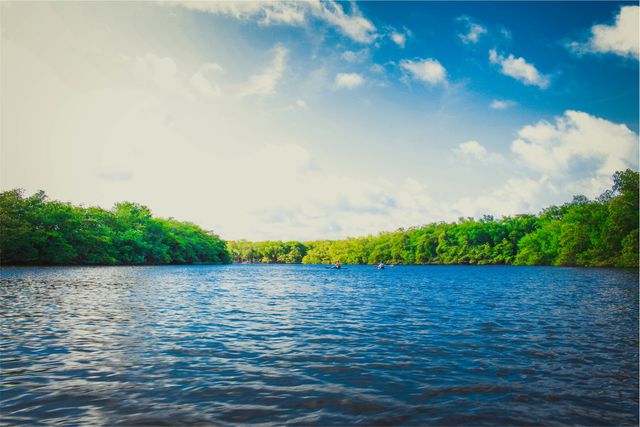 Tranquil River Flowing Through Forest Under Clear Sky - Download Free Stock Photos Pikwizard.com