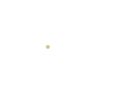 minimalist white dove with olive branch on transparent background - Download Free Stock Videos Pikwizard.com