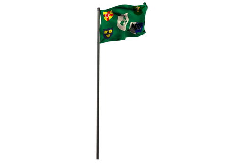 colorful green flags with symbol graphics on transparent background - Download Free Stock Videos Pikwizard.com