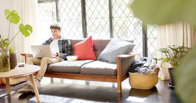 Young Man Working on Laptop in Brightly Lit Room with Plants - Download Free Stock Images Pikwizard.com