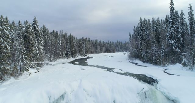 Snowy river flowing through evergreen forest in winter. Ideal for nature magazines, travel blogs, winter-inspired print materials, and outdoor adventure promotions. Highlights scenic beauty and tranquility of winter landscapes.