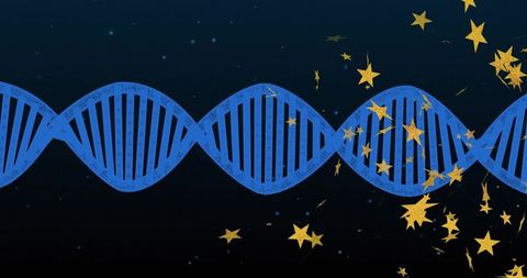 Running blue dna helix scattering golden stars, futuristic genomics and biotech concept