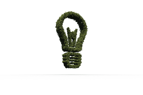 eco-friendly greenery light bulb concept on transparent background - Download Free Stock Videos Pikwizard.com