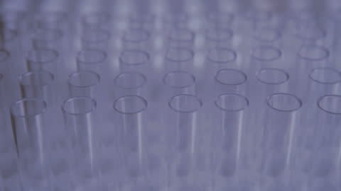 Rows of Empty Test Tubes for Scientific Research