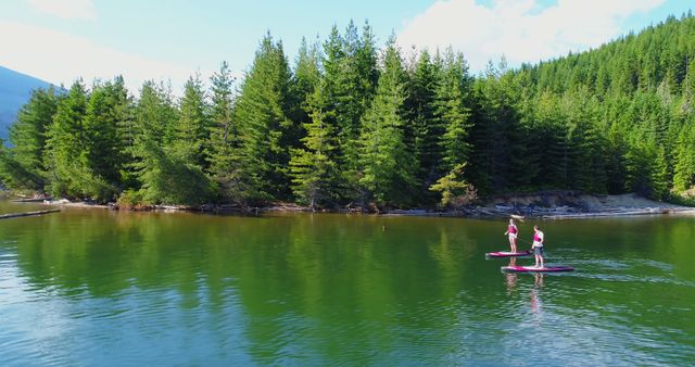 Couple stand-up paddleboarding on serene lake, surrounded by lush forest. Ideal for use in travel blogs, adventure magazines, fitness promotions, and nature conservation campaigns. Showcases peaceful outdoor recreation and nature appreciation.