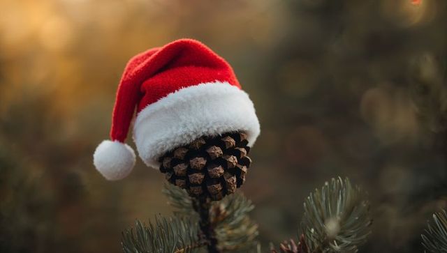 Pine Cone Wearing Santa Hat on Evergreen Branch with Warm Bokeh and Sunflare