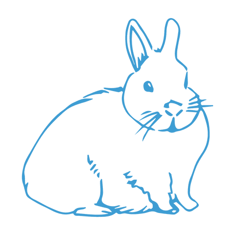 Blue rabbit illustration on transparent background
