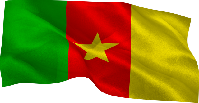 Waving Cameroon Flag on Transparent Background Illustration - Download Free Stock Videos Pikwizard.com