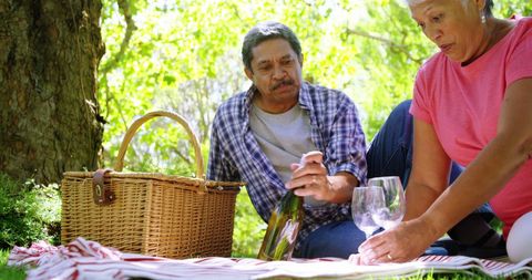 Middle-aged Latino Couple Enjoying Picnic in Green Park - Download Free Stock Images Pikwizard.com