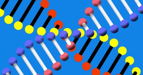 Colorful dna helices on blue background symbolizing genetics