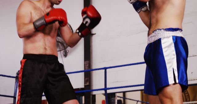 Boxers Fighting in the Ring During a Match - Download Free Stock Images Pikwizard.com