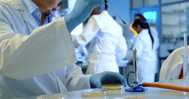 Scientists conducting laboratory research wearing white coats and gloves. Researchers focus on petri dishes and other laboratory equipment, suggesting meticulous and controlled scientific processes. Useful for illustrating concepts related to scientific research, biotechnology, medical advancements, or education in science. Suitable for websites, educational materials, and promotional content related to STEM fields.