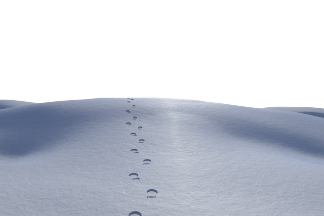 Transparent Background Footprints in Snow Winter Landscape Vector Illustration - Download Free Stock Videos Pikwizard.com