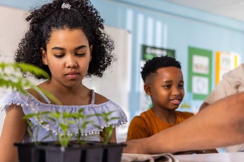 African american children learning classroom gardening with seedlings and teacher guidance