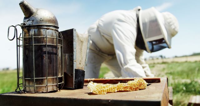 Beekeeper in Protective Suit Tending to Beehive with Smoker - Download Free Stock Images Pikwizard.com