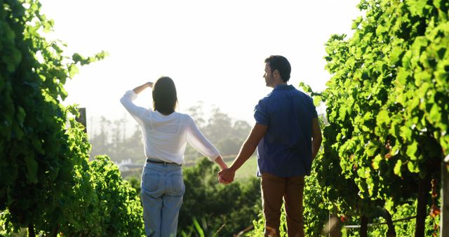 A young Caucasian couple holds hands while walking through a lush vineyard, with copy space. Their leisurely stroll among the grapevines suggests a romantic getaway or a wine-tasting adventure.