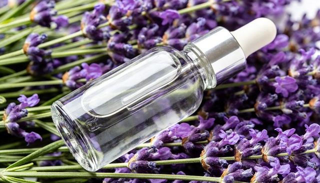 Clear glass dropper bottle resting on fresh lavender flowers for essential oil and aromatherapy