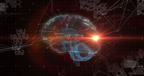 Holographic Brain with Digital Interface and Grid