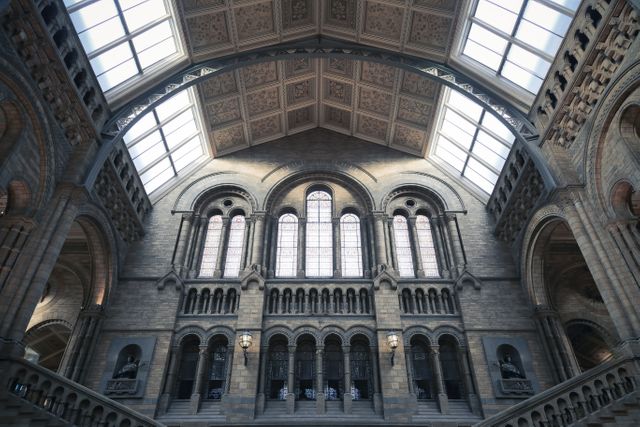 This image beautifully captures the interior architecture of a historic hall, featuring large windows, ornate carvings, and an impressive ceiling. The grand details and classic design evoke a sense of heritage and tradition, making it ideal for use in articles or presentations about historic buildings, architectural designs, and cultural heritage sites. Perfect for educational content, travel guides, or even promotional material for museums and history tours.