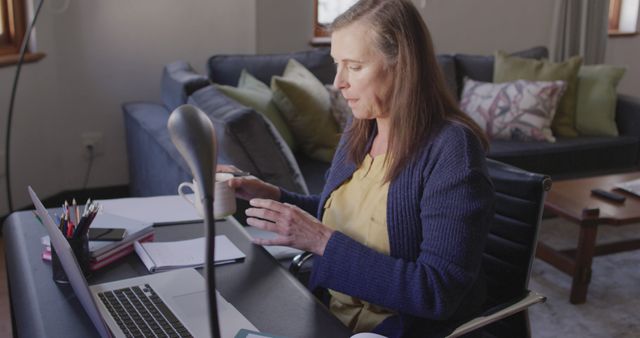 Middle-Aged Woman Working Remotely in Cozy Living Room - Download Free Stock Images Pikwizard.com