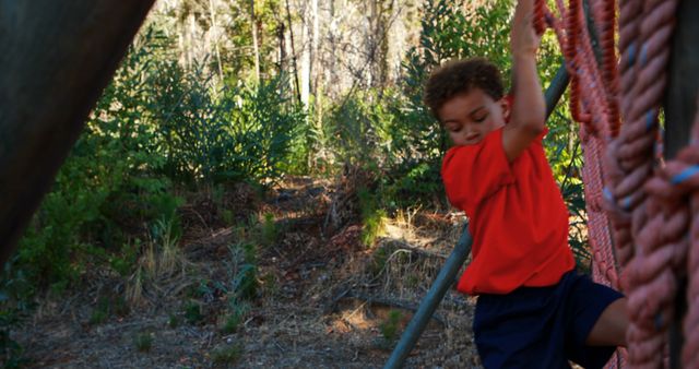 Child Climbing Rope Ladder in Outdoor Playground - Download Free Stock Images Pikwizard.com