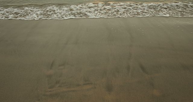 Gentle Ocean Waves on Sandy Shore at Sunset - Download Free Stock Images Pikwizard.com