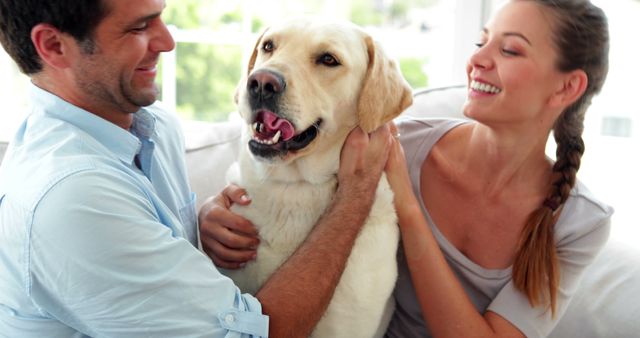 Photo shows a happy couple cuddling with a large dog on a couch in a bright room. Ideal for websites, blogs, or ads focusing on pet companionship, happy home life, or promoting pet products. Picture exudes warmth, joy, and genuine affection, suitable for articles about relationships with pets or for use in advertisements for pet adoption and care services.