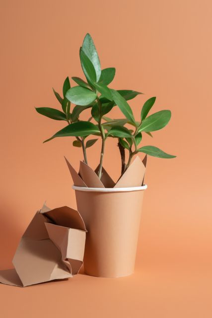 Plant in paper cup and paper on orange background, created using generative ai technology. Recycling, environment and climate change awareness concept digitally generated image.
