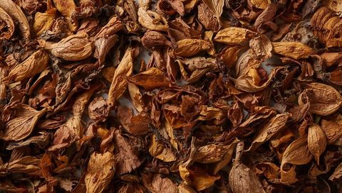 Dried botanical mix close-up texture of seed pods leaves petals rustic warm tones