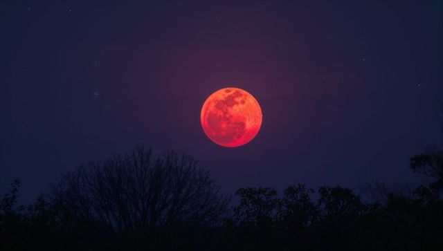 Glowing red full moon hovering above treeline during lunar eclipse night