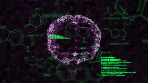 Digital Brain with Scientific Data Animation