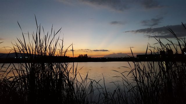 Peaceful Sunset Over Serene Lake with Reeds Silhouetted - Download Free Stock Photos Pikwizard.com