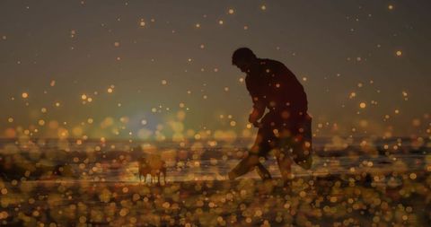 Silhouetted man walking and bending toward small dog on sunset beach with golden bokeh sparkles