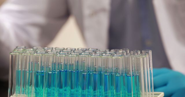 Scientist Working with Test Tubes in Laboratory - Download Free Stock Images Pikwizard.com