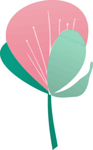 Abstract Flower with Green Leaves on Transparent Background