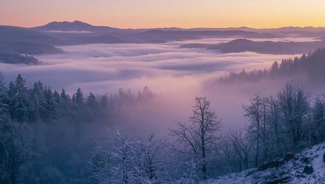 Lavender Dawn Over Fog-Filled Mountain Valley with Snowy Pines and Frosted Trees at Sunrise