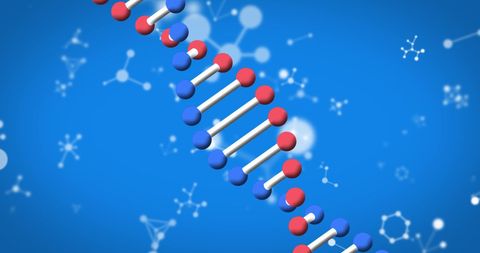 Rotating DNA Strand on Digital Molecular Background - Download Free Stock Images Pikwizard.com