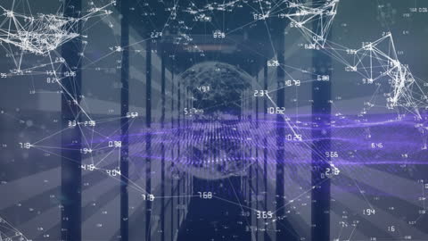Global Network Connections with Digital Data Overlay