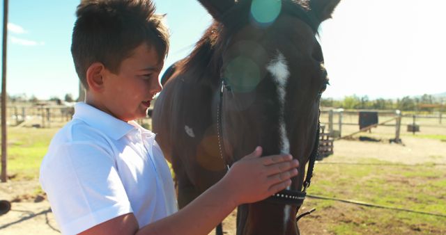 A young Caucasian boy gently touches a horse on a sunny day, with copy space. His interaction with the animal reflects a moment of connection and curiosity in an outdoor setting.