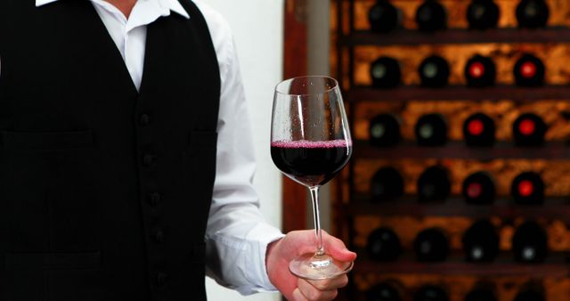 Sommelier Holding Red Wine Glass in Cellar - Download Free Stock Images Pikwizard.com