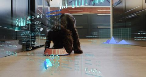 Dark Brown Puppy Eating from Bowl in Smart Kitchen with Augmented Reality Data Overlays