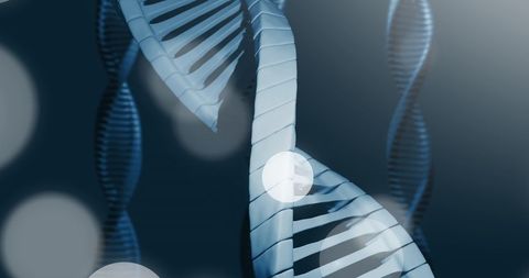 Digital DNA Strand Innovation in Genetic Research - Download Free Stock Images Pikwizard.com