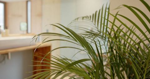 Lush palm plant enhancing modern bathroom interior decor