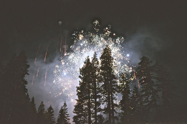 Explosion of fireworks over forest at night.  Event, party and celebration concept