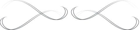 Elegant Abstract Curved Line Ornament on Transparent Background - Download Free Stock Videos Pikwizard.com