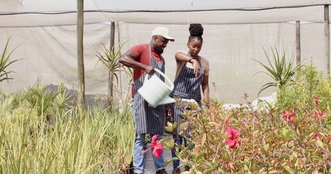 Coworkers watering plants under shade net in plant nursery