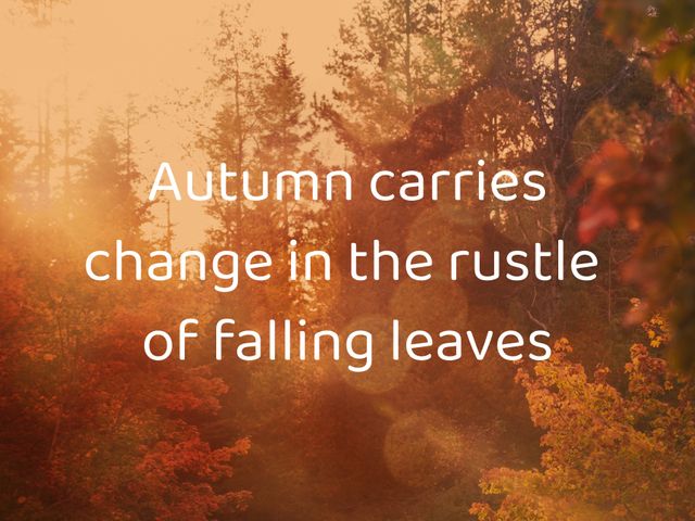 Warm tones of autumn forest with sunlit background. Motivational quote about change and seasons. Perfect for seasonal projects, inspirational blogs, and nature-themed designs.